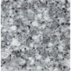 G568