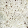 Gsg028br Kashmir White 