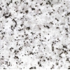 Gsg016cr Bianco Montorfano 